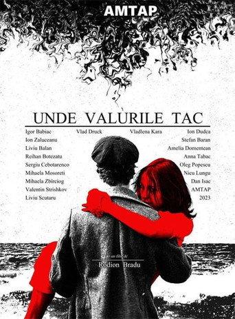Unde Valurile Tac (2024) poster