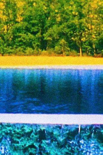 Log Abstract 1989 (1990) poster