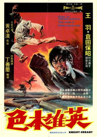 Knight Errant (1973) poster