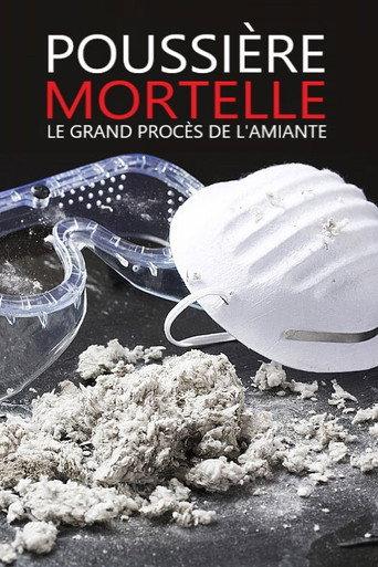 Polvere - Il grande processo dell'amianto (2011) poster