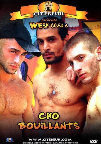 Wesh Cousin 6: Cho bouillants (2008) poster