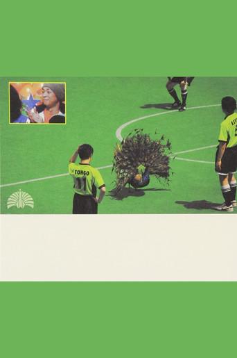 Bloopers and Highlights (2012) poster
