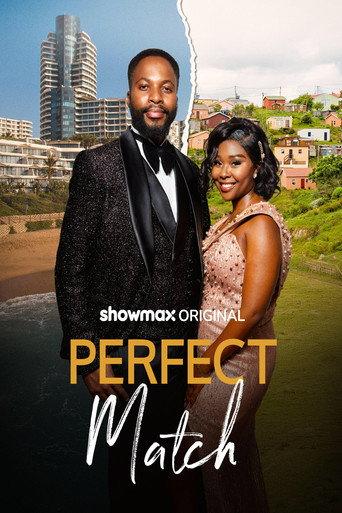 Perfect Match () poster