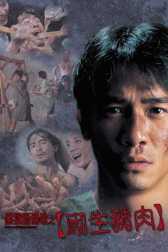 Chinese Midnight Express (1997) poster