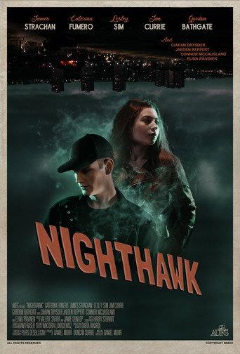 Nighthawk (2020) poster