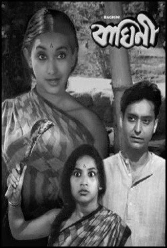 Baghini (1968) poster