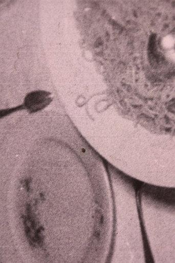 Spaghetti, Topi e Altri Animali (1932) poster