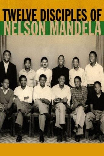 Twelve Disciples of Nelson Mandela (2005) poster