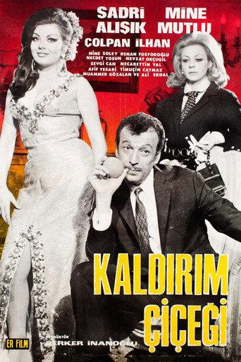 Kaldırım Çiçeği (1969) poster