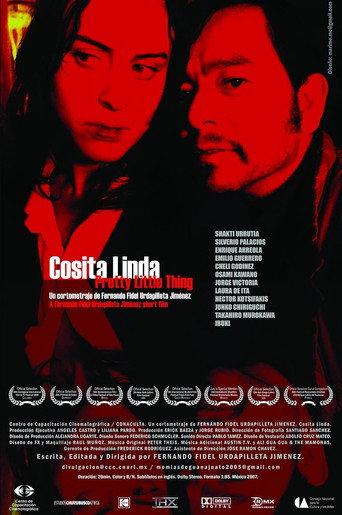 Cosita linda (2008) poster