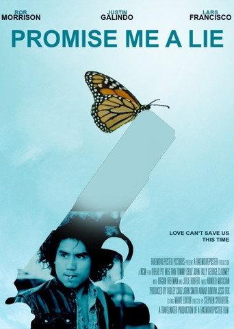 Promise Me a Lie (2012) poster