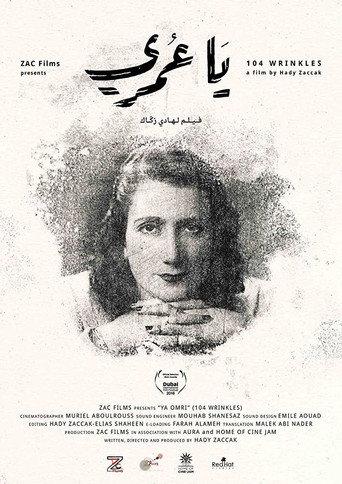 104 Wrinkles (2017) poster