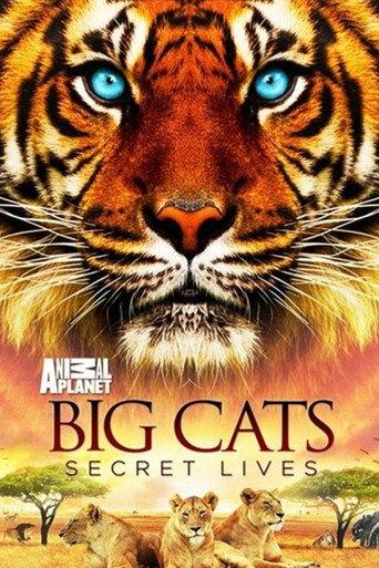 Big Cats: Secret Lives () poster