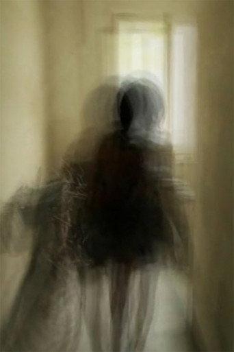 Descending a Staircase (2013) poster