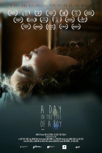 A Day in the Life of a Boy (2020) poster