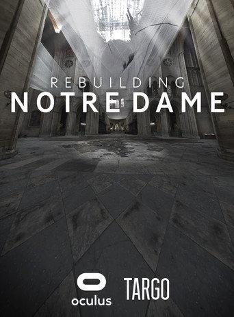 Rebuilding Notre Dame (2020) poster