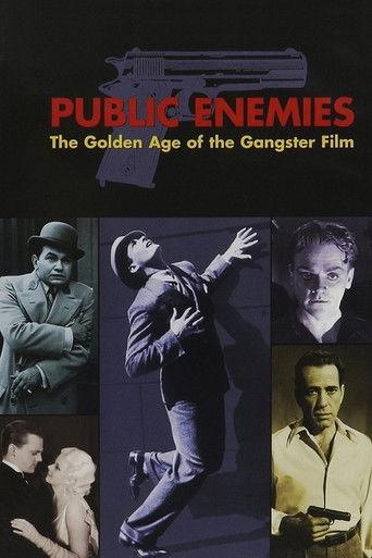 Public Enemies: The Golden Age of the Gangster Film (2008) poster