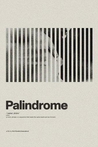Palindrome (2025) poster