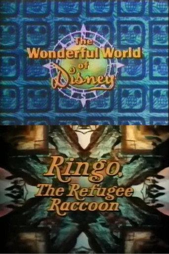 Ringo, the Refugee Raccoon (1974) poster