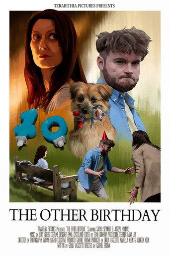 The Other Birthday () poster