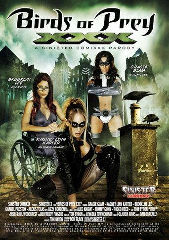 Birds Of Prey XXX : A Sinister Comixxx Parody (2012) poster