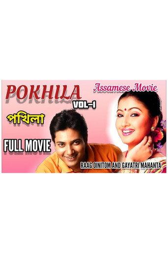 Pokhila (2008) poster