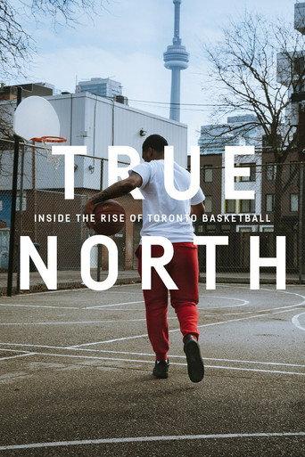 True North: Inside the Rise of Toronto Basketball (2019) poster