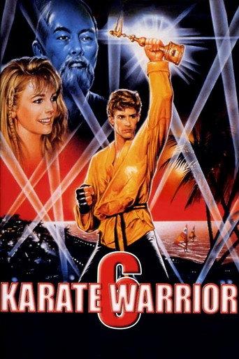 Karate Warrior 6 (1993) poster
