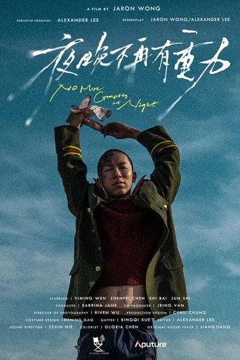 No More Gravity At Night (2024) poster