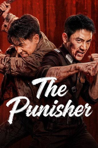 The Punisher (2026) poster