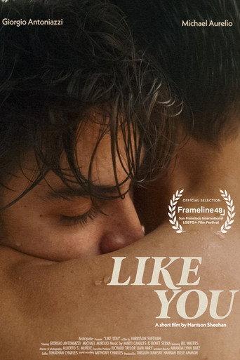 Like You (2024) poster