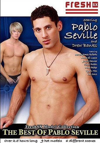 The Best of Pablo Seville (2008) poster