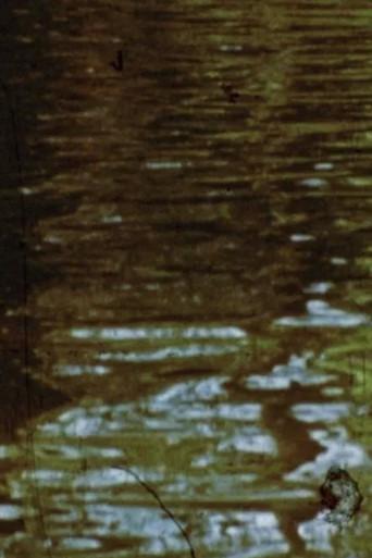 Obatala (1989) poster