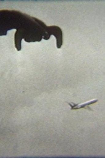 Flying (1979) poster