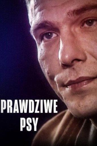 Prawdziwe psy. Krzysiek i Sławek (2003) poster
