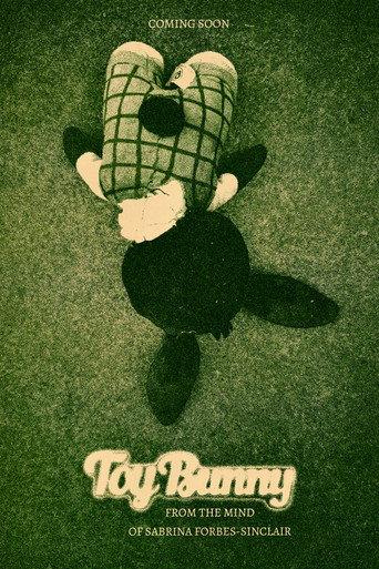 Toy Bunny () poster