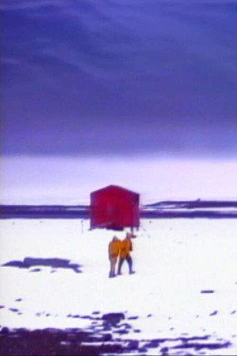 Winter Journey (1993) poster