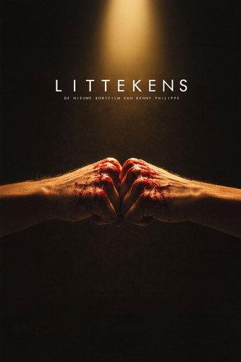 Littekens (2027) poster