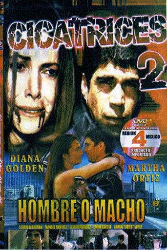Scars 2 (2007) poster