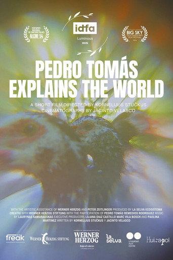 Pedro Tomás Explains The World (2025) poster