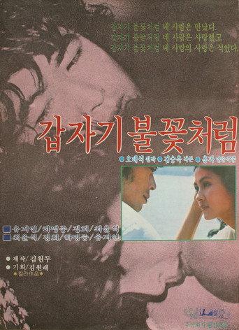 Sudden Flame (1979) poster