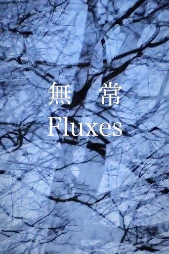 FLUXES () poster