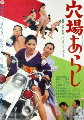 Hiding-Place in the Storm (1971) poster