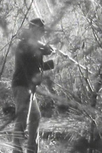 The Stringybark Creek Massacre () poster