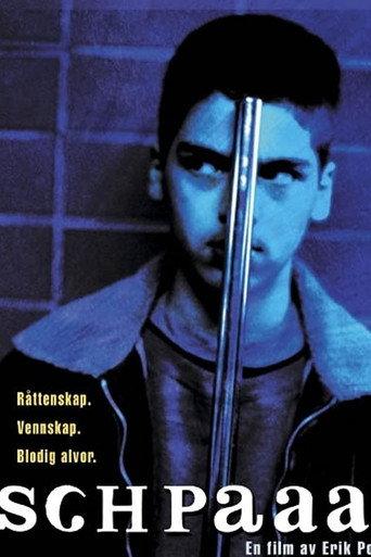 Bunch of Five (1998) poster