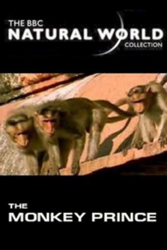 The Monkey Prince (2003) poster