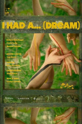 I HAD A... (DREAM) () poster
