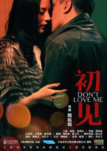 初见 (2013) poster