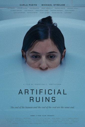 Artificial Ruins () poster