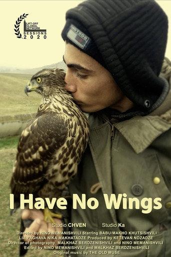 I Have No Wings (2020) poster